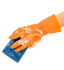 Discover the Best Cleaning Services for Your Home - 乐鱼lifengnuo