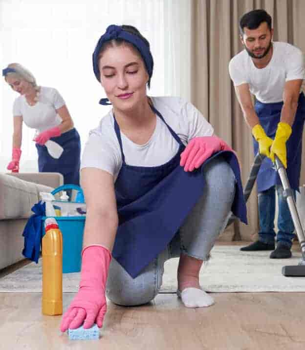 Discover the Best Cleaning Services for Your Home - 乐鱼lifengnuo